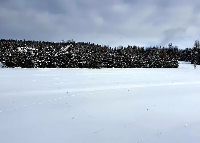 Misiowka