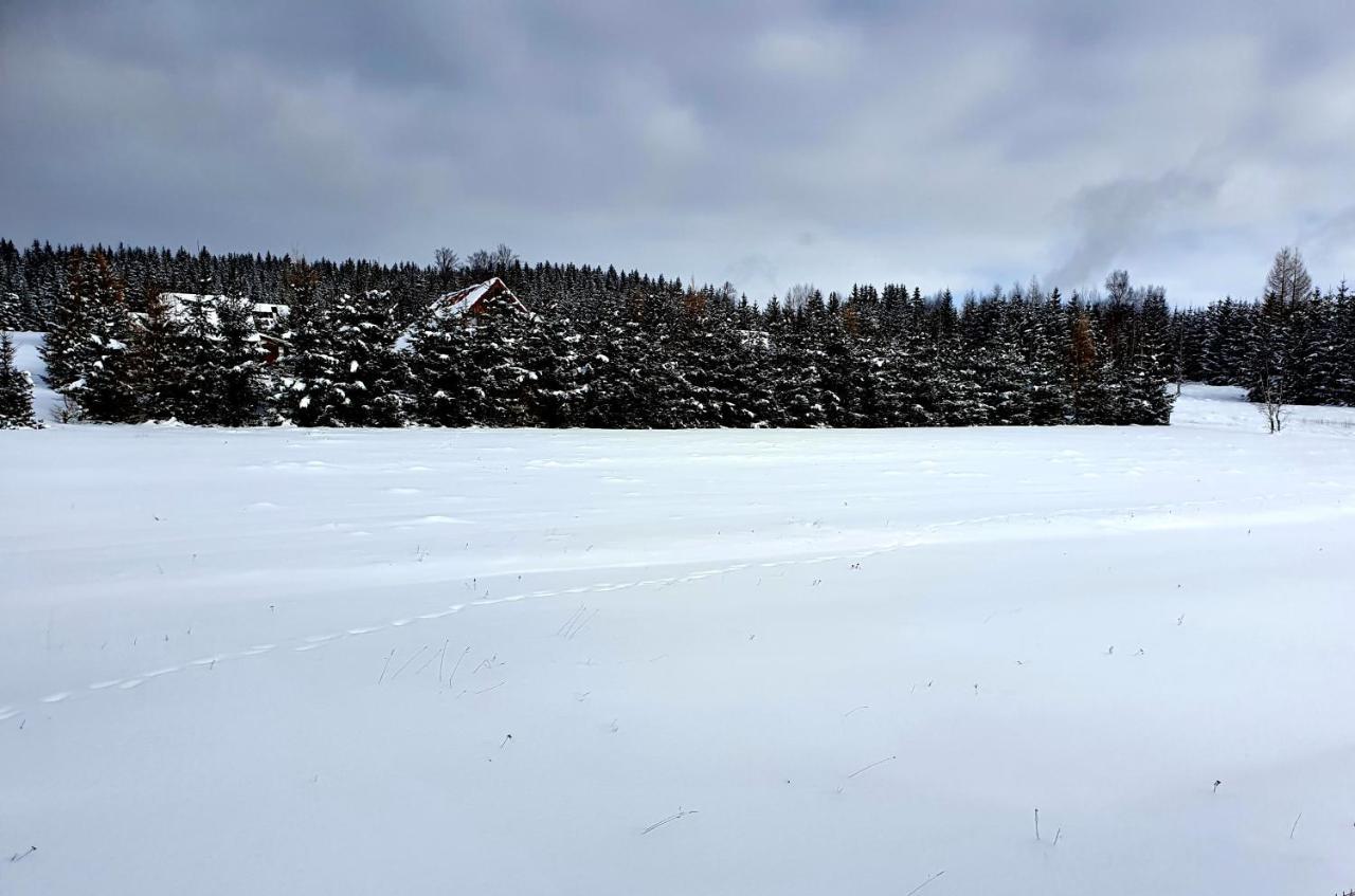 Misiowka *